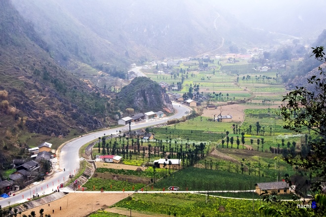 [-]Mùa[-]hoa[-]nở[-]rực[-]rỡ[-]trên[-]miền[-]đá[-]Hà[-]Giang